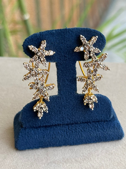 Goldplated Earrings-Er173