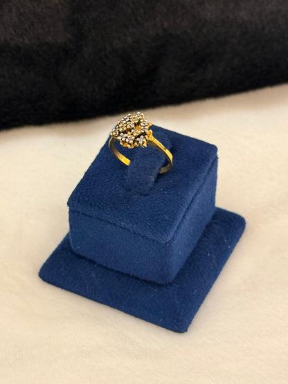 925 Silver GoldPlated Ring-Sr109