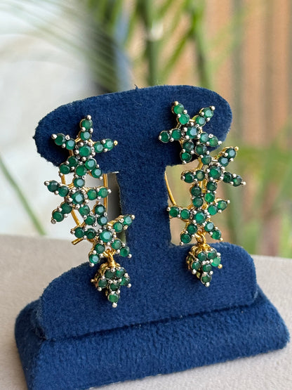 Goldplated Earrings-Er173