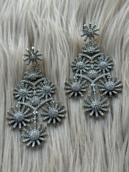 Rhodium Plated Earrings-Er94